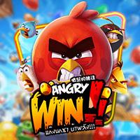 Angry Win