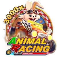 Animal Racing